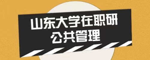 2024年山东大学政治学与公共管理学院公共管理（MPA）在职研究生招生简章