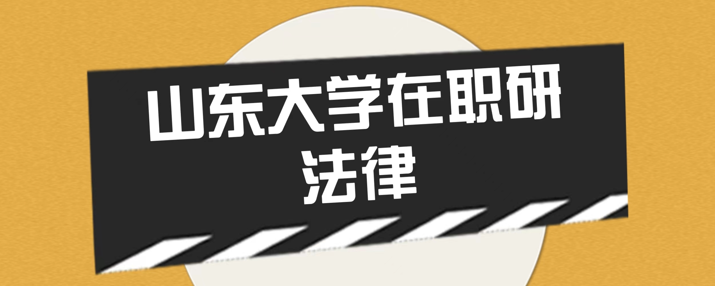 2024年山东大学在职研究生法学院法律（法学）专业介绍(图1)