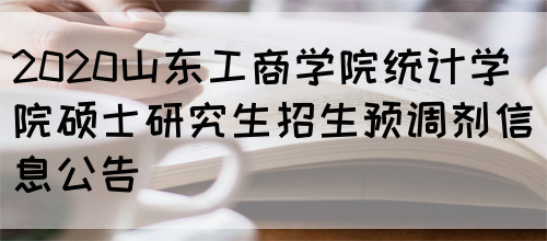 2020山东工商学院统计学院硕士研究生招生预调剂信息公告