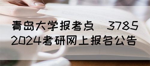 青岛大学报考点(3785)2024考研网上报名公告