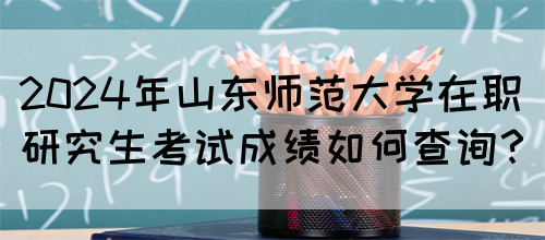 2024年山东师范大学在职研究生考试成绩如何查询？