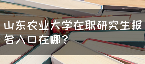 山东农业大学在职研究生报名入口在哪？