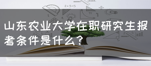 山东农业大学在职研究生报考条件是什么？