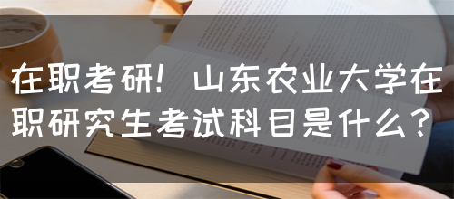 在职考研！山东农业大学在职研究生考试科目是什么？