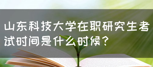 山东科技大学在职研究生考试时间是什么时候？