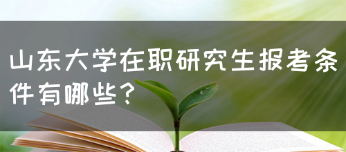 山东大学在职研究生报考条件有哪些？