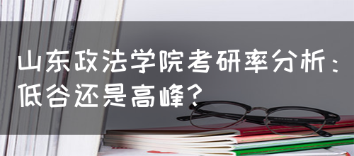 山东政法学院考研率分析：低谷还是高峰？