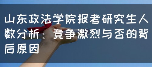 山东政法学院报考研究生人数分析：竞争激烈与否的背后原因