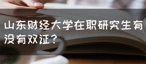 山东财经大学在职研究生有没有双证？