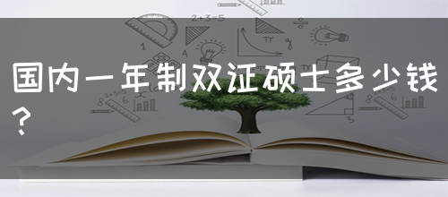 国内一年制双证硕士多少钱？