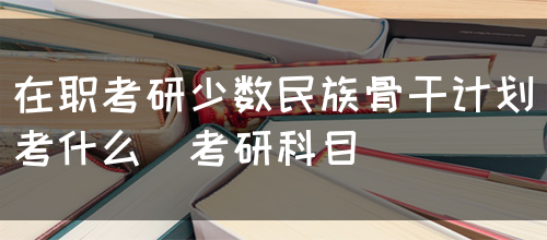 在职考研少数民族骨干计划考什么（考研科目）