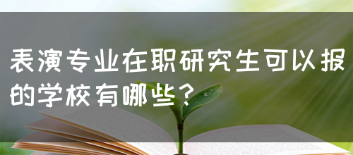 表演专业在职研究生可以报的学校有哪些？