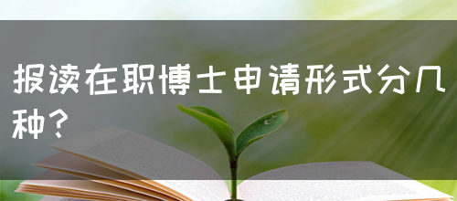 报读在职博士申请形式分几种？