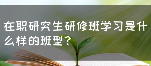 在职研究生研修班学习是什么样的班型？