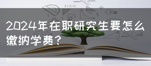 2024年在职研究生要怎么缴纳学费？