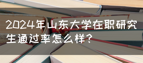 2024年山东大学在职研究生通过率怎么样？