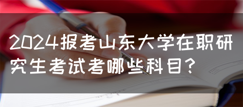 2024报考山东大学在职研究生考试考哪些科目？