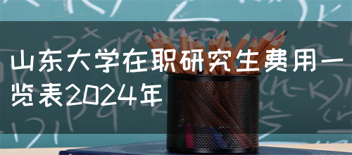 山东大学在职研究生费用一览表2024年