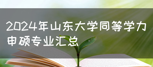 2024年山东大学同等学力申硕专业汇总(图1)