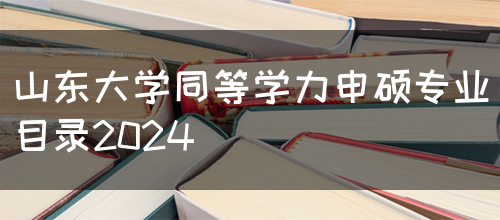 山东大学同等学力申硕专业目录2024