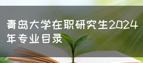 青岛大学在职研究生2024年专业目录