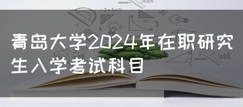 青岛大学2024年在职研究生入学考试科目