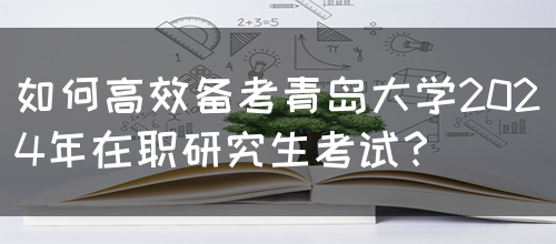 如何高效备考青岛大学2024年在职研究生考试？(图1)