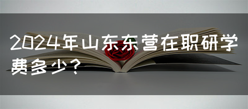 2024年山东东营在职研学费多少？