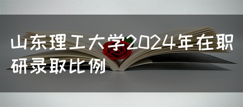 山东理工大学2024年在职研录取比例