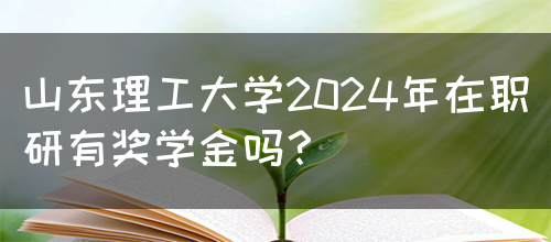 山东理工大学2024年在职研有奖学金吗？(图1)