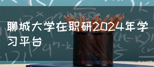 聊城大学在职研2024年学习平台(图1)