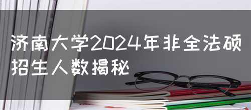 济南大学2024年非全法硕招生人数揭秘