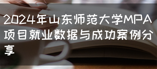 2024年山东师范大学MPA项目就业数据与成功案例分享(图1)