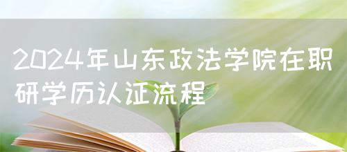 2024年山东政法学院在职研学历认证流程