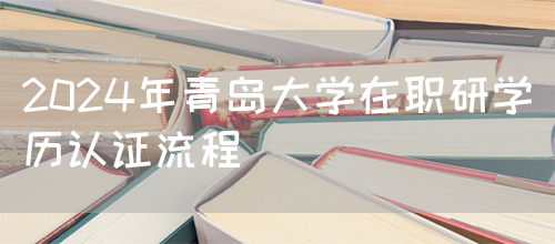 2024年青岛大学在职研学历认证流程