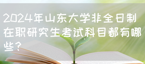 2024年山东大学非全日制在职研究生考试科目都有哪些？